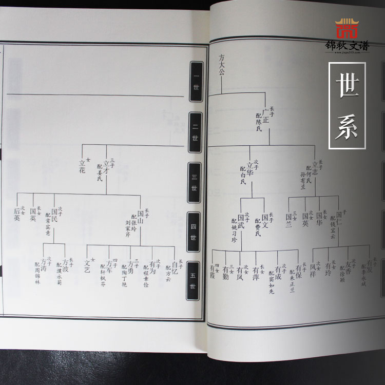 方氏族譜世系圖展示1