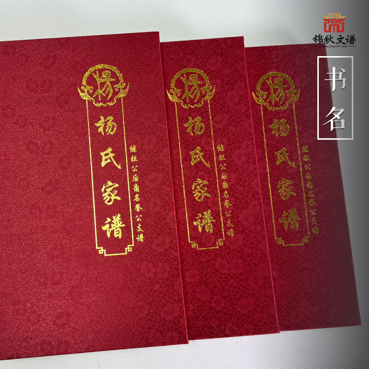 貴州六盤(pán)水《楊氏家譜》：本書(shū)為畢節(jié)楊家灣繼祖公系列名譽(yù)祖支系以之芳祖后代為主的楊氏支譜